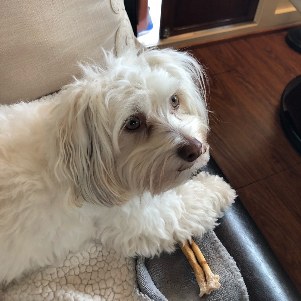 Meet your Posher, Judy